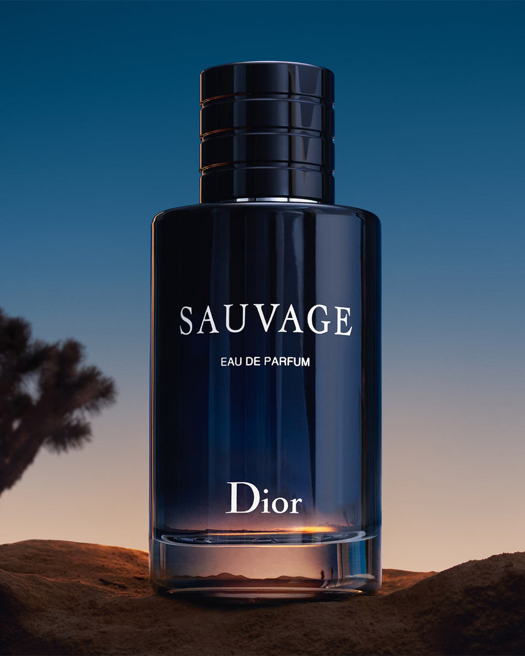 DIOR SAUVAGE Eau de Parfum
